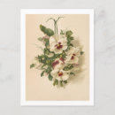 Suche nach lila stiefmütterchen postkarten Vintag