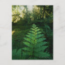 Suche nach generisch postkarten Reiseziele