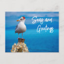 Suche nach seagull postkarten Weihnachten