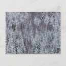 Suche nach wölfe im schnee postkarten Bäume