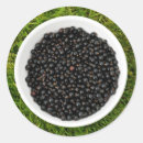 Suche nach schwarze johannisbeere aufkleber Beeren
