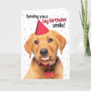 Suche nach lustige labrador karten Spaß