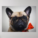 Suche nach französische bulldogge poster 2015