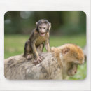 Suche nach affe mousepads Wild
