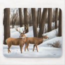Suche nach whitetail mousepads Natur