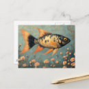 Suche nach rosa fische postkarten Generativitätsinhalt