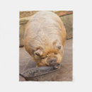 Suche nach drähte decken Niedlich