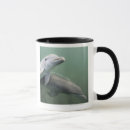 Suche nach unterwasser tassen Natur