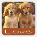 Suche nach golden retriever welpe aufkleber Liebe