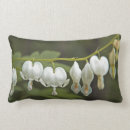 Suche nach dicentra Blume