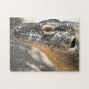 Suche nach komodo drache Eidechse