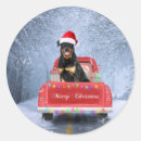 Suche nach rottweiler hund aufkleber Haustier