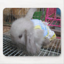 Suche nach niedliche häschen mousepads Flaumig