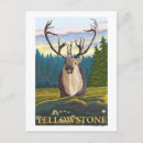 Suche nach karibu poster Wild
