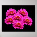 Suche nach black background poster Botanical