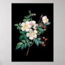 Suche nach grüner hintergrund poster Für sie