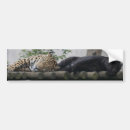 Suche nach leopard autoaufkleber Tiere