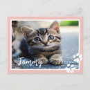 Suche nach tiergeschenke poster Katzenliebhaber
