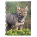 Suche nach grauer wolf kleine notizbücher Natur