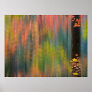 Suche nach ahornbaum poster Wald