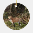 Suche nach fuchs ornamente Tiere