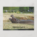Suche nach hippopotamuses postkarten Hippie
