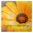 Suche nach blitz fliesen Natur