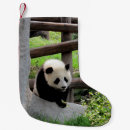 Suche nach panda weihnachts strümpfe Niedlich