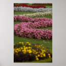 Suche nach barock poster Blumen