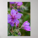Suche nach macro poster Purple