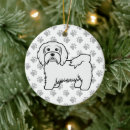 Suche nach havanese ornamente Hund