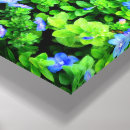Suche nach makro leinwandbilder Natur
