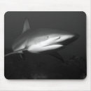 Suche nach haifische mousepads Meer