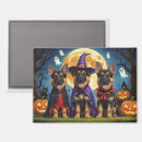 Suche nach german shepherd alle magnete Tier