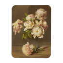 Suche nach vase magnete Botanisch