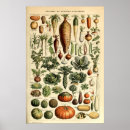 Suche nach vegetable poster Garden