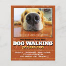 Suche nach hundewanderung flyer Hundspaziergang