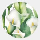 Suche nach calla lily aufkleber Elegant