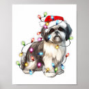 Suche nach shih tzu hunde poster Weihnachten