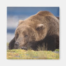 Suche nach profil magnete Portrait