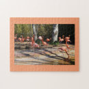 Suche nach flamingos puzzle Vögel