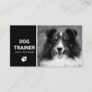 Suche nach hundetrainer visitenkarten Foto