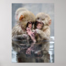 Suche nach heiße quellen poster Tag