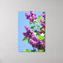 Suche nach blüte kunst Farbig