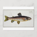 Suche nach salmo poster Reptilien
