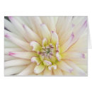 Suche nach bellevue postkarten Blüte