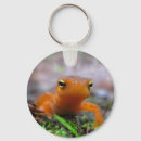 Suche nach pond accessoires Animal