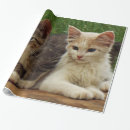 Suche nach langhaarig geschenkpapier Tier