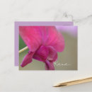 Suche nach orchideen foto postkarten Fotografie