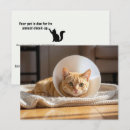 Suche nach tierärzte postkarten Customer